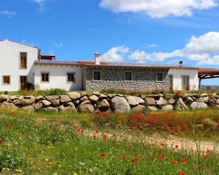 Tenute Testoni Agriturismo E B&B Bassacutena Bagian luar foto
